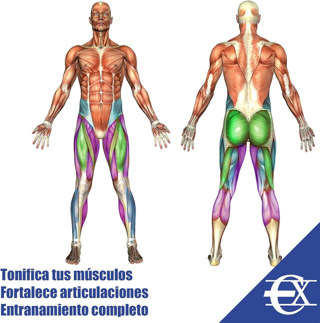 gomas elásticas verticales